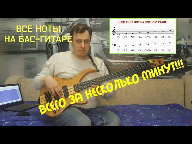 Все ноты на бас-гитаре за 5 минут!!!