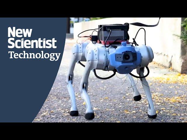 How to train your robot dog using AI simulations