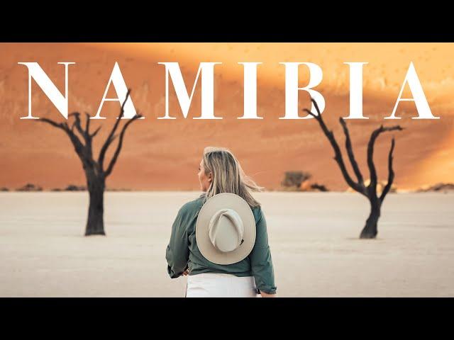 My Trip to Namibia | Safari, Desert, and Coast