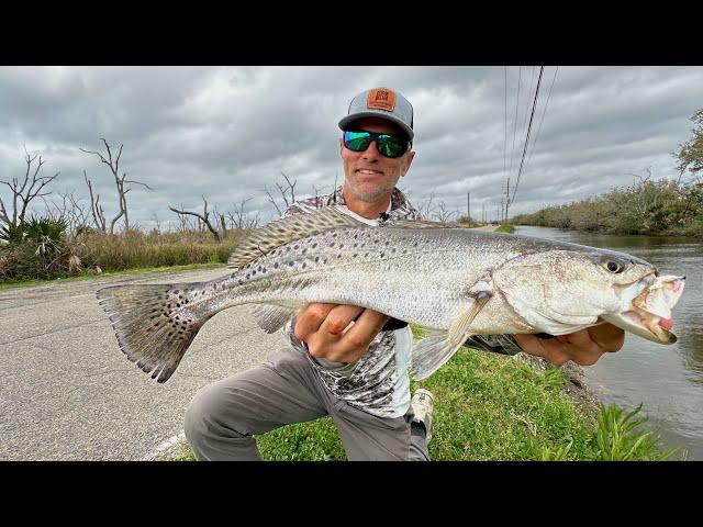 SPECKLED TROUT in a Roadside Ditch! (CATCH & COOK)