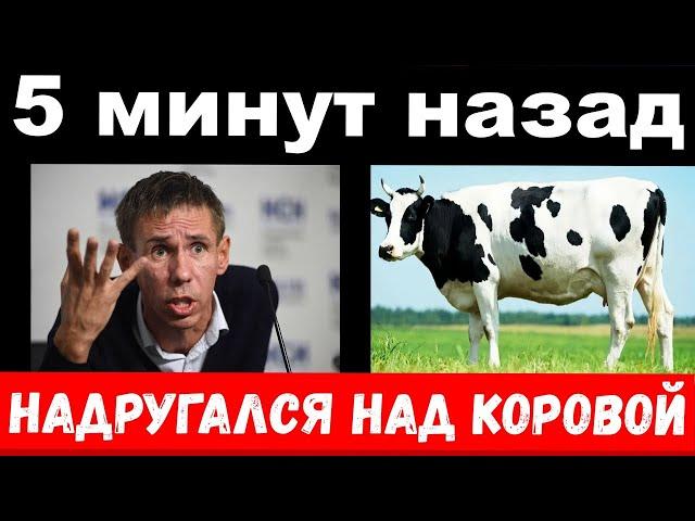 надругался над коровой - Панина проверят на вменяемость