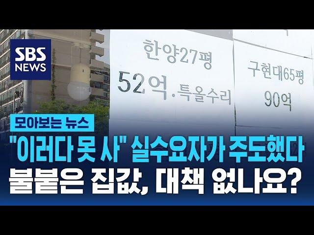 아파트 공급 '시그널'에…고삐 풀린 집값 "실수요자가 주도" / SBS / 모아보는 뉴스