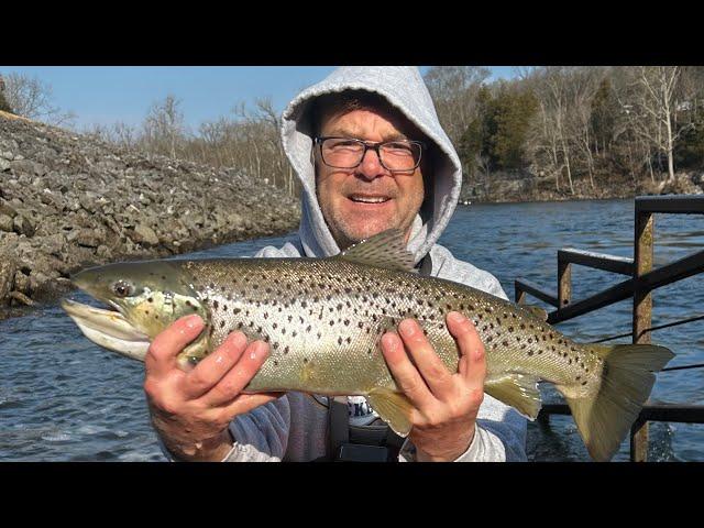 STEPS, CENTER HILL DAM, HUGE TROUT & WALLEYE!