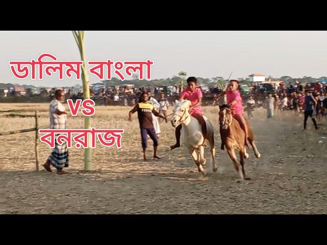 horse racing Sylhet। ডালিম রাজা vs বনরাজ ঘৌড়ার দৌড় প্রতিযোগিতা।gurar dur। ঘোড়ার মেলা