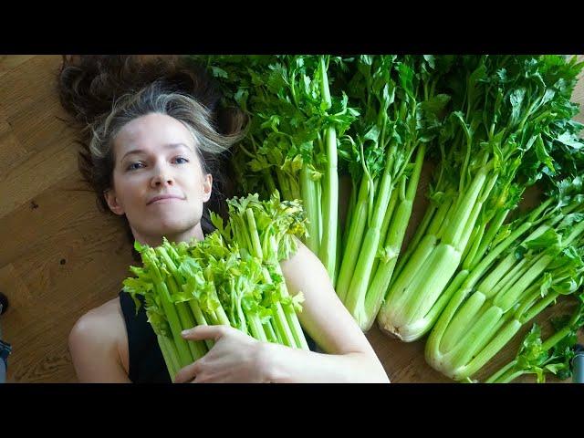 I drank celery juice for 30 days, and this is what happened...