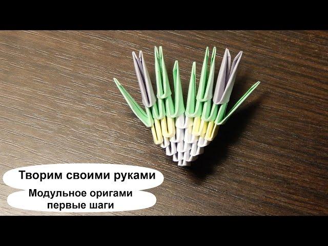 Модульное оригами для начинающих. С чего начать, как сделать? Пошаговая видео инструкция