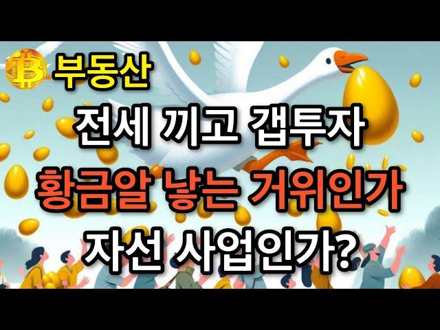 부동산 전세 끼고 갭투자 황금알 낳는 거위인가  자선 사업인가?