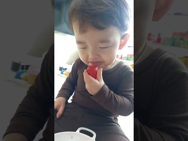 토마토 먹방 #21개월아기 #아기먹방 #먹방 #cute #food