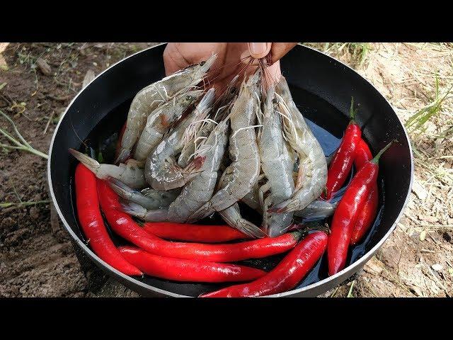 Tasty Shrimp Fried Cayenne Pepper | Shrimp Stir Fry Chinese Kale Recipe