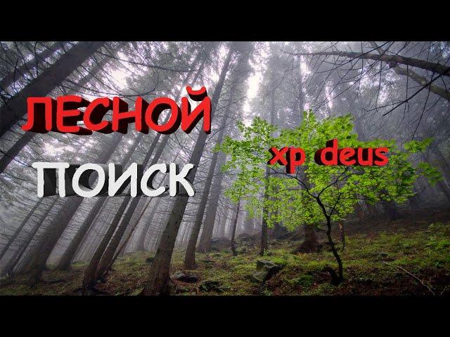 Поиск монет в лесу около дачных участков | Коп с  xp deus