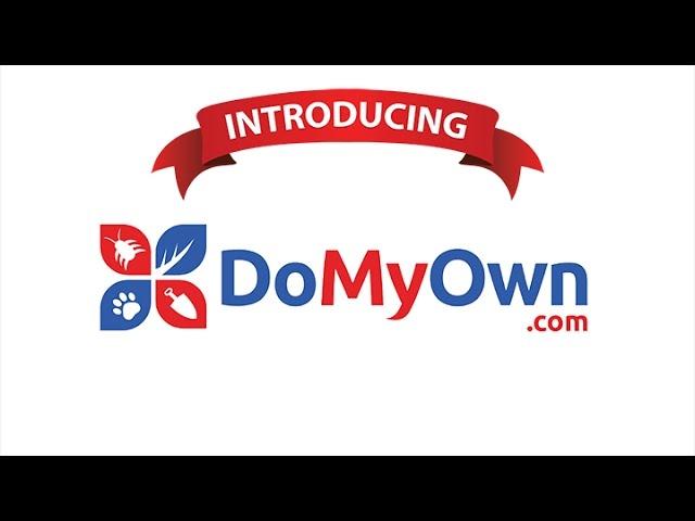 Welcome to DoMyOwn.com!