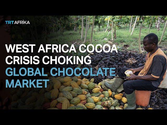 How West Africa Cocoa Crisis Hits Global Chocolate Market