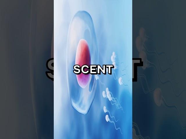 5 science facts for curious minds! #shorts #interestingfacts #science #knowledge #viral