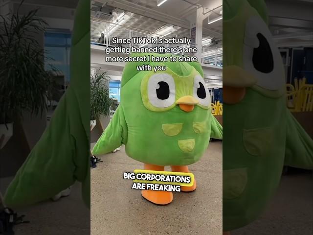 Companies Are MAD About TikTok Ban 