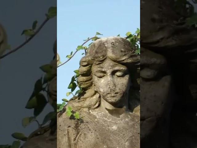Beautiful Stoned People! 