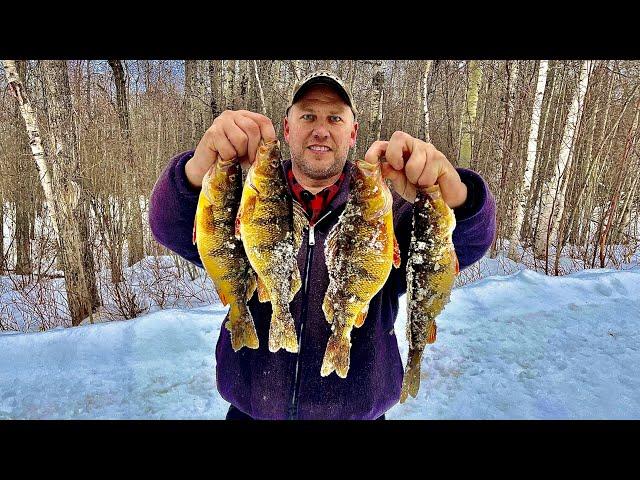 REMOTE NORTHERN LAKE!! FULL of JUMBO PERCH