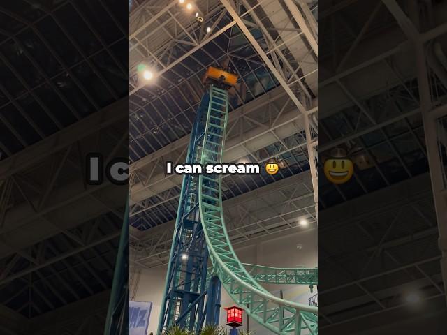 Who saw the new video I did with Mr. Jordan!?  #fypシ゚ #rollercoaster #mall #scream #summer #viral