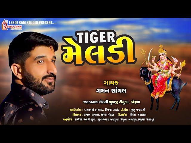 Tiger Meldi | ટાઈગર મેલડી | Gaman Santhal | Non Stop Songs