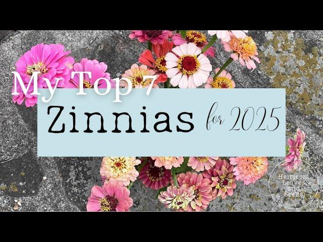 #44 Top 7 Zinnias to Grow for 2025 Varieties Heirloom Leaves and Seeds Planning Garden Gardening