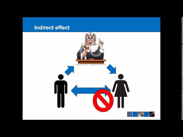 EU Law - Direct Effect