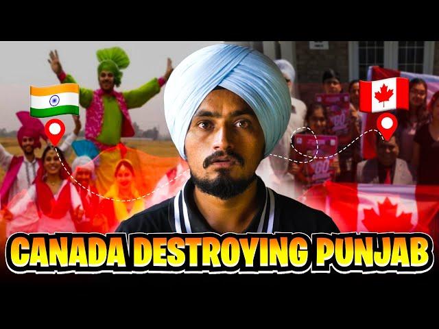 STOP GOING TO CANADA | ROAST | DAVIS DOSANJH
