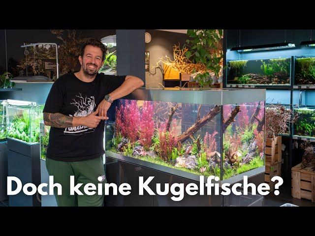 Doch keine Kugelfische und Wasserwechsel im Oase HighLine 300 Raumteiler