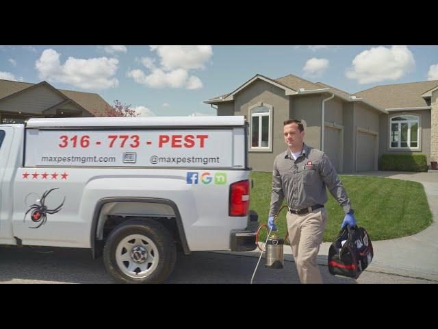 Residential Pest Control Service with Maximum Pest Management