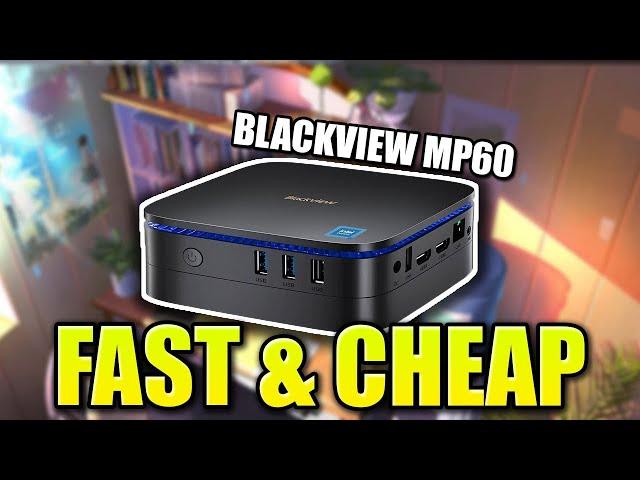 Blackview MP60 Mini PC Windows 11 Pro Review!