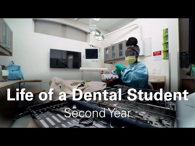 Life of a Second Year Dental Student - Claudie