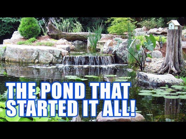 THE POND THAT STARTED IT ALL! : Greg Wittstock, The Pond Guy