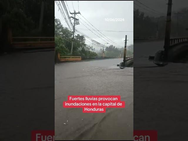 ¡Inundada la capital tras las fuertes lluvias! Más información en tunota.com