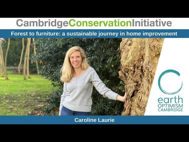 Forest to furniture: a sustainable journey in home improvement - Caroline Laurie