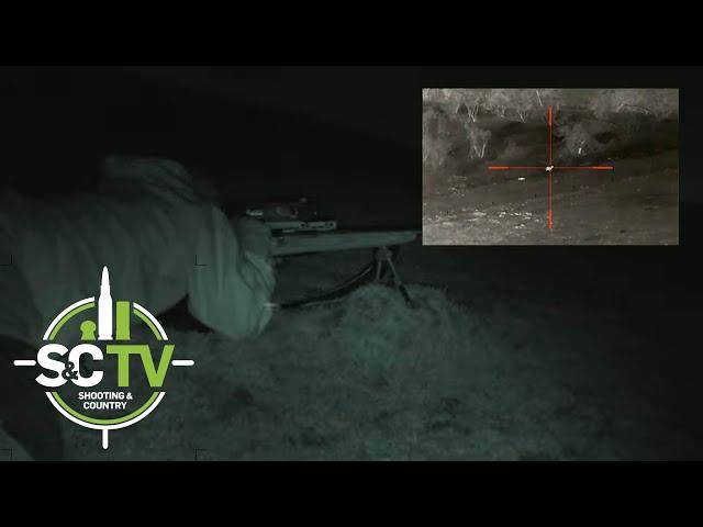 Shooting & Country TV | Foxing with Mark Ripley 260RIPS 2 | Piglet protection squad, bumper night!