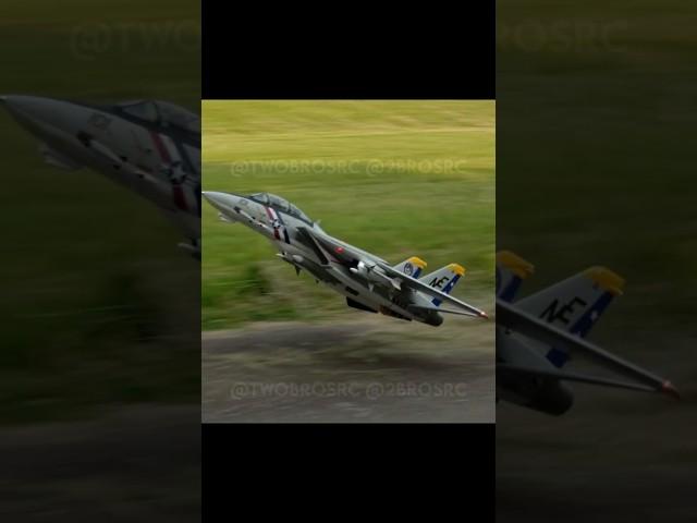 F-14D Super Tomcat High Alpha Pass #aviation #rc #rcplane