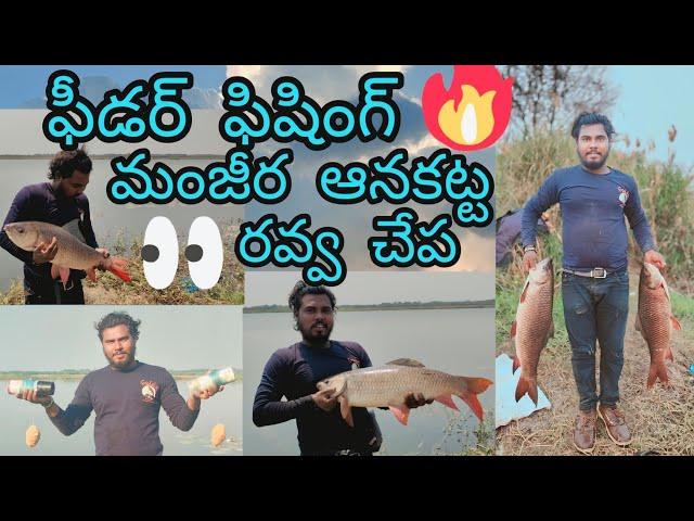 Manjeera dam feeder fishing#fishingvideos #fishing #fish #nagarjunasagarfishing #feeder fishing