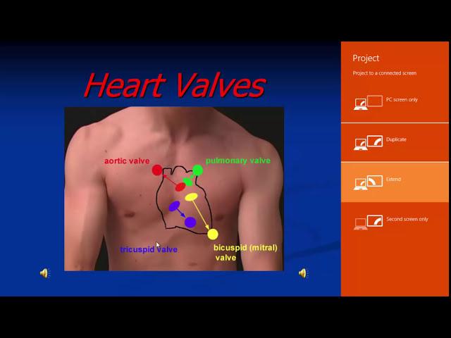 Echo Assessment of Valvular  Heart Diseases, Dr. Sameh Samir