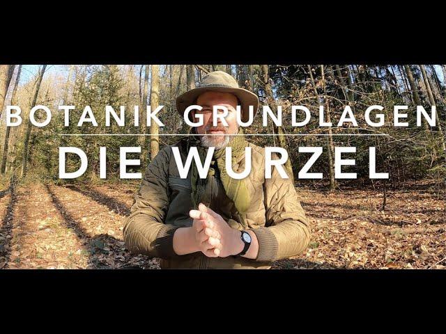 Die Wurzel - Grundwissen Botanik