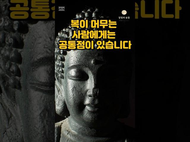 복이 머무는 사람에게는 공통점이 있습니다 #부처님말씀 #명언 #자기수행