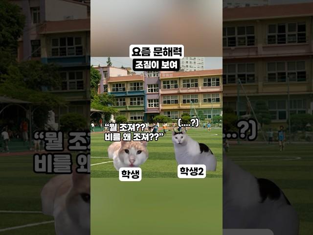 요즘 문해력 #한글날 #고양이밈