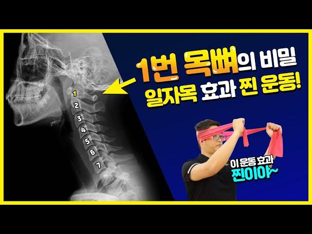 1번 목뼈의 비밀!  목디스크의 원인이 되는 일자목! 효과 찐운동!!  Cervical Curve Exercise