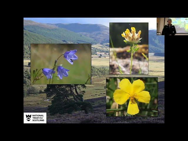 Plant Conservation at Mar Lodge National Nature Reserve