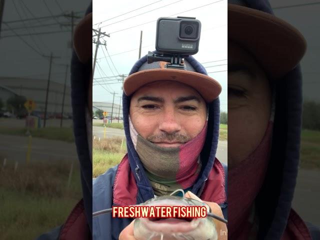 I’m falling in love with freshwater fishing. #catfish #fishing #portmansfield #coastalfishing