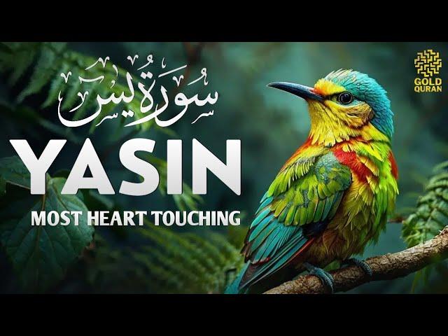 World's most beautiful Quran recitation of Surah Yasin (Yaseen) سورة يس  Gold Quran