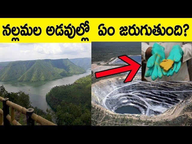 SAVE NALLAMALA FOREST - PROTEST AGAINST URANIUM MINING IN NALLAMALA FOREST IN TELUGU - FACTS 4U