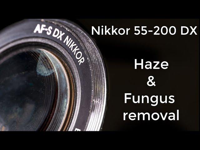 Nikkor 55-200 : Haze and fungus cleaning