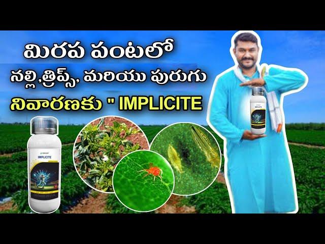 parijat company implecite insecticide & miticide telugu/ implecite #nelathallivlogs #redchilli