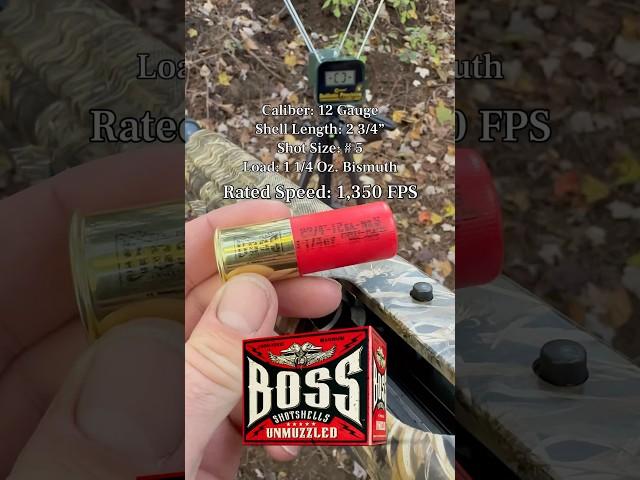 Boss Ammo is Firing Hot! #bossammo #chrono #12gauge #shotgun #boss #shorty #ammo #bismuth #shorts