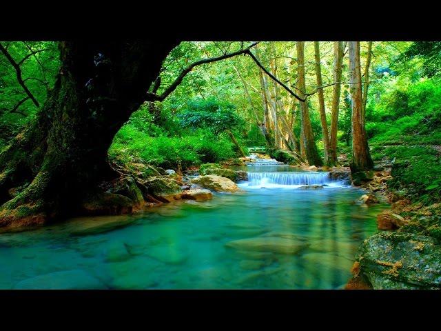 Instrumental Hymns | Harp, Piano, Strings, & Orchestra