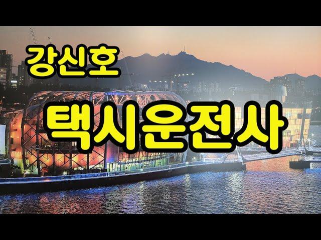 가수 : 강신호  /  택시운전사