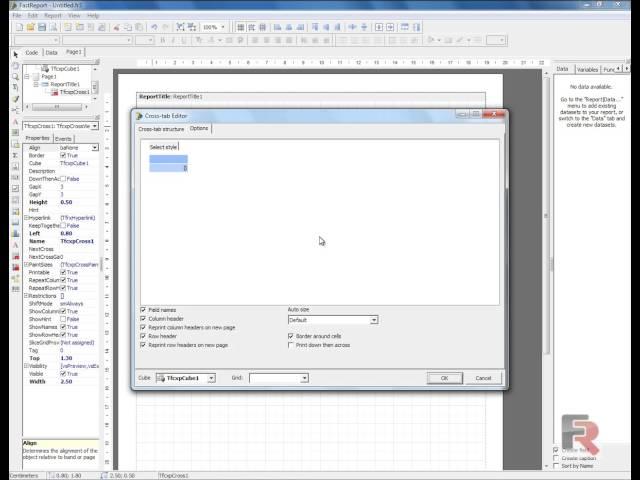 FastCube: FastReport 4